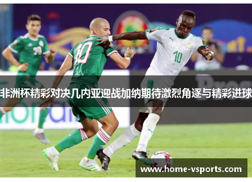 非洲杯精彩对决几内亚迎战加纳期待激烈角逐与精彩进球